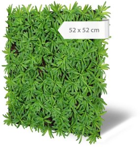 Akustický panel umělé rostliny a trávy, 52 x 52 cm / Modular Wall 136679 AS Création