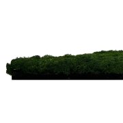 Nástěnný akustický panel s pravým mechem v jemné tmavě zelené barvě na filcovém podkladu, rozměr 52 x 52 cm z kolekce Modular Wall A.S.Création - DD136678