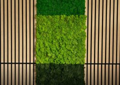 Nástěnný akustický panel s pravým mechem v jemné tmavě zelené barvě na filcovém podkladu, rozměr 52 x 52 cm z kolekce Modular Wall A.S.Création - DD136678
