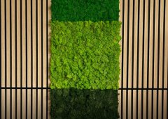 Nástěnný akustický panel s pravým mechem ve světle zelené barvě na filcovém podkladu, rozměr 52 x 52 cm z kolekce Modular Wall A.S.Création - DD136677