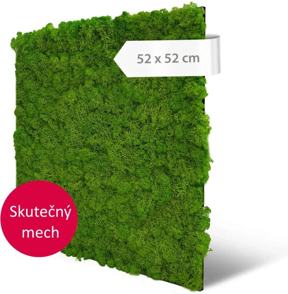 Akustický panel pravý mech světle zelená barva,  52 x 52 cm / Modular Wall 136677 AS Création
