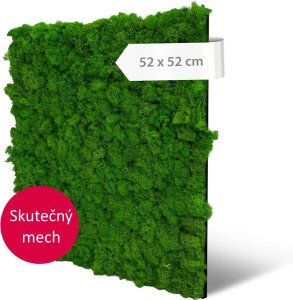 Akustický panel pravý mech v sytě zelené barvě,  52 x 52 cm / Modular Wall 136676 AS Création