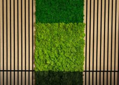 Nástěnný akustický panel s pravým mechem v sytě zelené barvě na filcovém podkladu, rozměr 52 x 52 cm z kolekce Modular Wall A.S.Création - DD136676