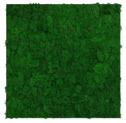 Nástěnný akustický panel s pravým mechem ve svěží zelené barvě na filcovém podkladu, rozměr 52 x 52 cm z kolekce Modular Wall A.S.Création - DD136675
