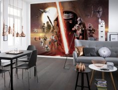 Fototapeta Star Wars - Hvězdné války - 8-492 Komar v interieru