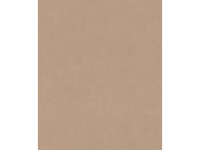 Vliesová tapeta jednobarevná hnědá 330045 / Tapety na zeď Paraiso (0,53 x 10,05 m) Rasch