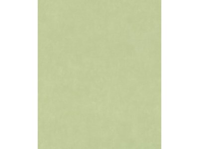 Vliesová tapeta jednobarevná zelená 330052 / Tapety na zeď Paraiso (0,53 x 10,05 m) Rasch