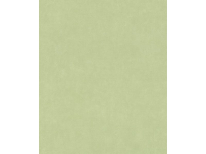 Vliesová tapeta jednobarevná zelená 330052 / Tapety na zeď Paraiso (0,53 x 10,05 m) Rasch