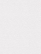 Vinylová tapeta 6416-18 bílá se strukturou omítky - německý výrobce A.S.Création