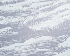 Šedá, bílá vliesová tapeta 377054 z kolekce Architects Paper - Jungle Chic. Vzor - obloha, mraky, nebe