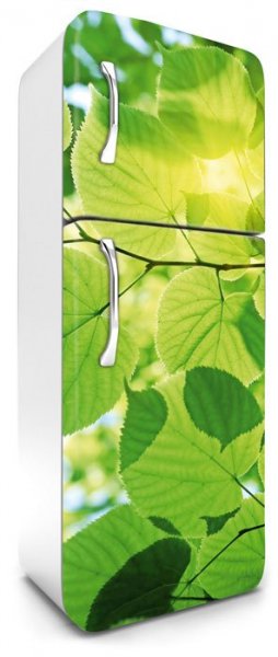 Fototapeta na lednici Listy, 65 x 180 cm / FR-180-009 / Leaves samolepicí fototapety na lednice DIMEX