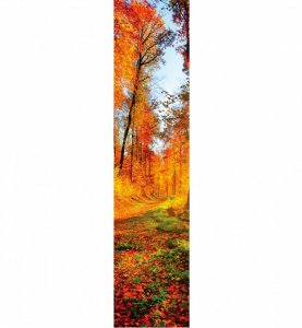 Samolepicí dekorační pás Slunečný les, stromy 60 x 260 cm / samolepící dekorativní strukturovaná tapeta DS-005 DIMEX
