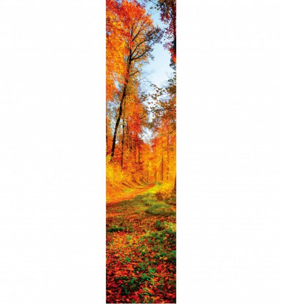 Samolepicí dekorační pás Slunečný les, stromy 60 x 260 cm / samolepící dekorativní strukturovaná tapeta DS-005 DIMEX