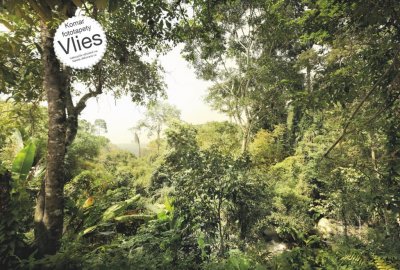 Vliesová fototapeta džungle deštný prales XXL4-024 4-dílná / Vliesové fototapety na zeď Jungle Dschungel Komar (368 x 248 cm)