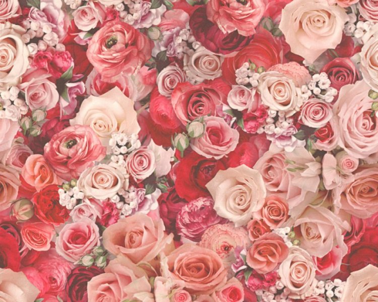 Vliesová tapeta červené růže 32722-3 / Tapety na zeď 327223 Urban Flowers (0,53 x 10,05 m) A.S.Création