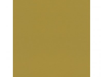 Vliesová tapeta 687521 jednobarevná žlutozelená / Tapety na zeď Tropical House (0,53 x 10,05 m) Rasch