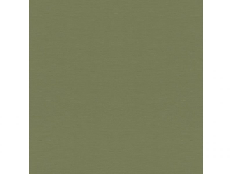 Vliesová tapeta 687538 jednobarevná zelená / Tapety na zeď Tropical House (0,53 x 10,05 m) Rasch