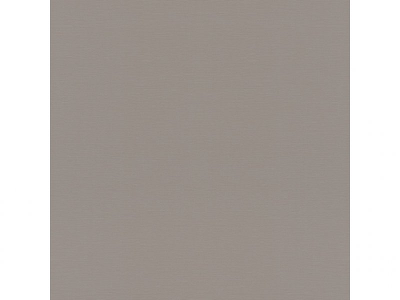 Vliesová tapeta 687545 jednobarevná šedá,stříbrná / Tapety na zeď Tropical House (0,53 x 10,05 m) Rasch