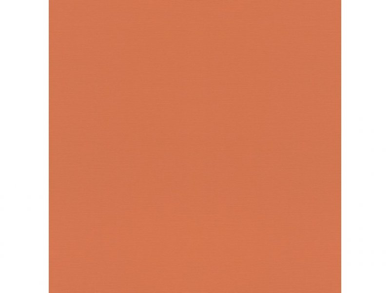 Vliesová tapeta 687569 jednobarevná oranžová, terakota / Tapety na zeď Tropical House (0,53 x 10,05 m) Rasch