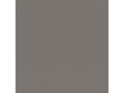 Vliesová tapeta 688030 jednobarevná šedá, stříbrná / Tapety na zeď Tropical House (0,53 x 10,05 m) Rasch