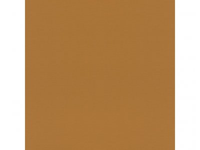 Vliesová tapeta 688054 jednobarevná hnědá / Tapety na zeď Tropical House (0,53 x 10,05 m) Rasch