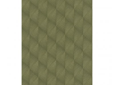 Vliesová 3D tapeta 687941 geometrická zelená, zlatá / Tapety na zeď Tropical House (0,53 x 10,05 m) Rasch