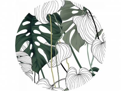 Samolepicí fototapeta Monstera, zelené listy 70x70 cm CR3223 Vector Leaves / kruhové samolepicí vliesové dekorace La Form (ø 70 cm) AG Design