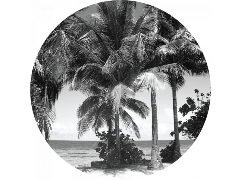 Samolepicí fototapeta Palm 70x70 cm CR3209 Monochromatic Palms / kruhové samolepicí vliesové dekorace La Form (ø 70 cm) AG Design