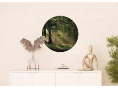 Samolepicí fototapeta Les 70x70 cm CR3210 Magic Forest / kruhové samolepicí vliesové dekorace La Form (ø 70 cm) AG Design