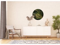 Samolepicí fototapeta Les 70x70 cm CR3210 Magic Forest / kruhové samolepicí vliesové dekorace La Form (ø 70 cm) AG Design