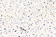 Samolepicí fólie Terrazzo Neo - velmi věrná imitace žuly, teraco (teraso, terrazzo) s převahou modrých zrn, samolepící tapeta d-c-fix