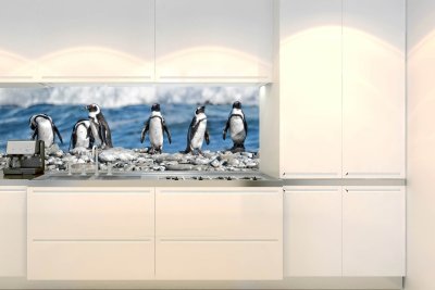 Samolepicí fototapeta na kuchyňskou linku Tučňáci KI-180-112 / Fototapety do kuchyně Dimex (180 x 60 cm)