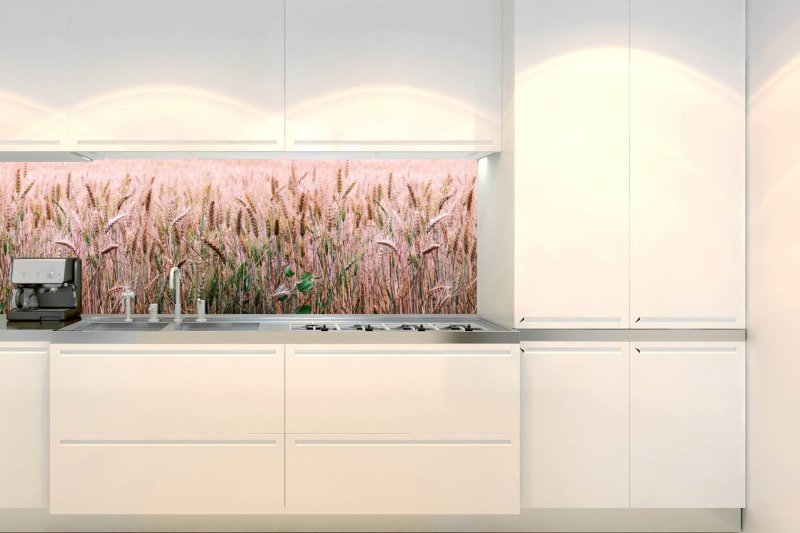 Samolepicí fototapeta na kuchyňskou linku Pšeničné pole, obilí KI-180-136 / Fototapety do kuchyně Dimex (180 x 60 cm)
