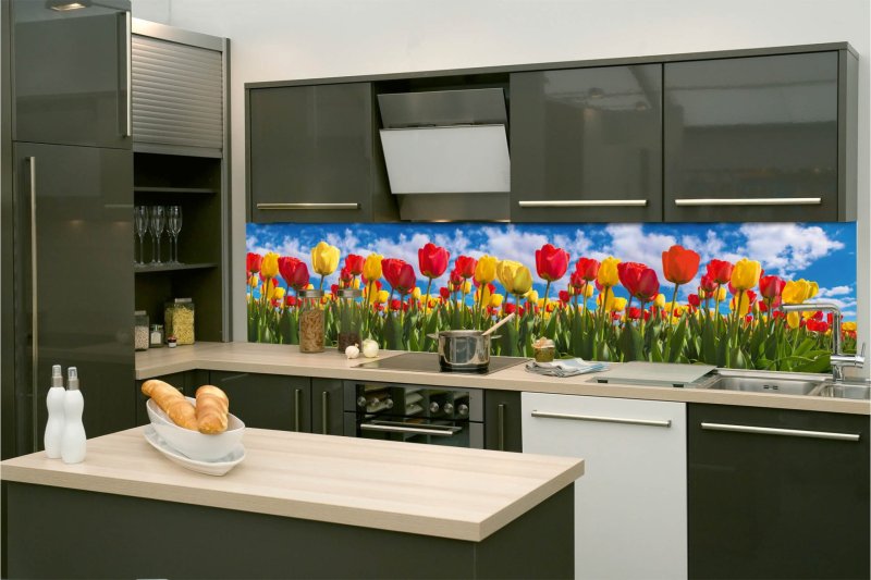 Samolepicí fototapeta na kuchyňskou linku Pole tulipánů KI-260-131 / Fototapety do kuchyně Dimex (260 x 60 cm)
