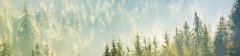 Samolepicí fototapeta na kuchyňskou linku Mlha nad lesem KI-260-141 / Fototapety do kuchyně Dimex (260 x 60 cm)