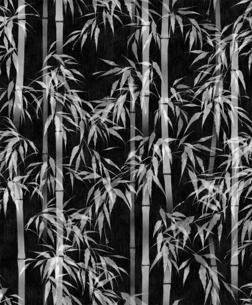 Vliesová tapeta černá, bílá - bambus 81672 / Tapety na zeď Mona (0,53 x 10,05 m) MA981672 Marburg