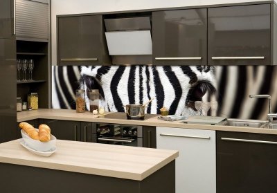 Samolepicí fototapeta do kuchyně zebra KI260-016 / Fototapety mezi kuchyňskou linku Dimex (260 x 60 cm)