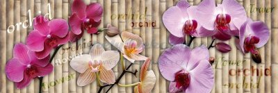 Samolepicí fototapeta na kuchyňskou linku Orchid KI180-026 / Fototapety do kuchyně Dimex (180 x 60 cm)