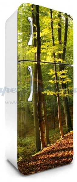 Samolepicí fototapeta na ledničku Forest FR180-028 / Fototapety na lednice Dimex (65 x 180 cm)