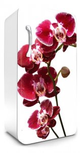 Samolepicí fototapeta na ledničku orchidej FR120-014 / Fototapety na lednice Orchid Dimex (65 x 120 cm)