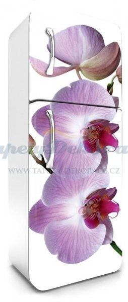 Samolepicí fototapeta na ledničku Orchid FR180-024 / Fototapety na lednice Dimex (65 x 180 cm)