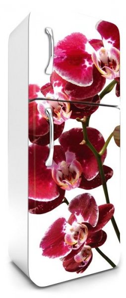 Samolepicí fototapeta na ledničku orchidej FR180-014 / Fototapety na lednice Orchid Dimex (65 x 180 cm)