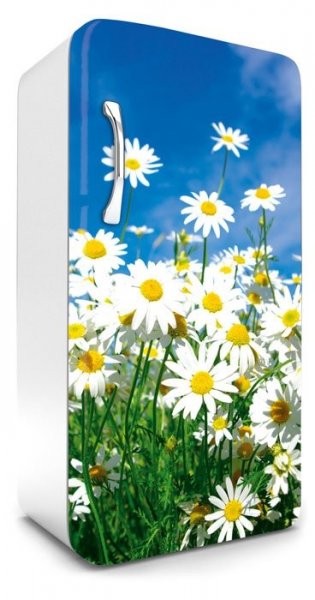 Samolepicí fototapeta na ledničku sedmikrásky FR120-011 / Fototapety na lednice Daisies Dimex (65 x 120 cm)