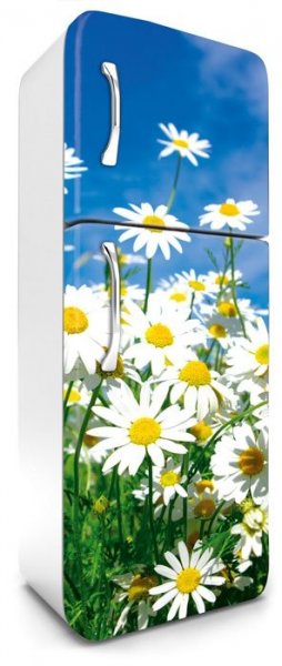 Samolepicí fototapeta na ledničku sedmikrásky FR180-011 / Fototapety na lednice Daisies Dimex (65 x 180 cm)