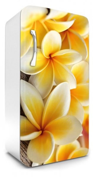 Samolepicí fototapeta na ledničku Plumeria FR120-013 / Fototapety na lednice Dimex (65 x 120 cm)