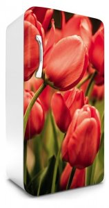 Samolepicí fototapeta na ledničku tulipány FR120-012 / Fototapety na lednice Tulips Dimex (65 x 120 cm)
