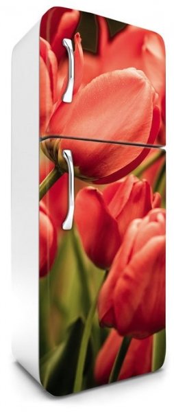 Samolepicí fototapeta na ledničku tulipány FR180-012 / Fototapety na lednice Tulips Dimex (65 x 180 cm)