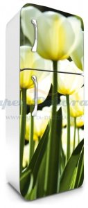 Samolepicí fototapeta na ledničku Tulips FR180-026 / Fototapety na lednice Dimex (65 x 180 cm)