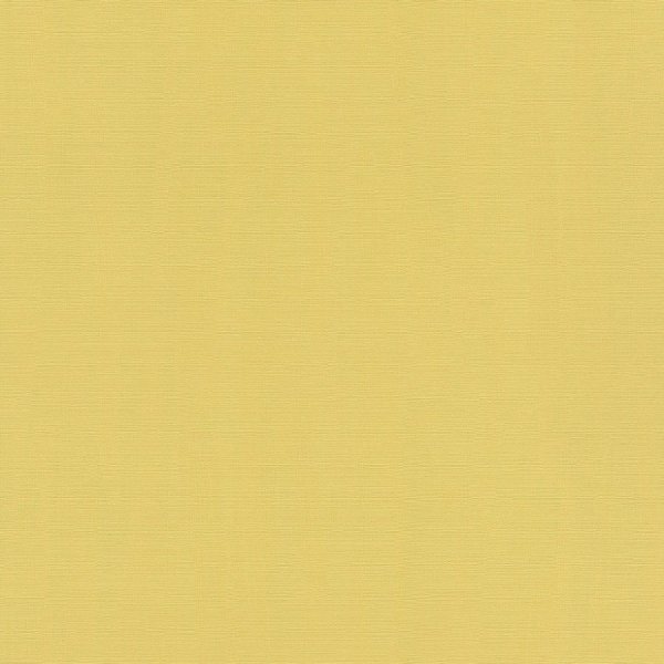 Vliesová tapeta 411836 žlutá / Tapety na zeď Hyde Park (0,53 x 10,05 m) Rasch