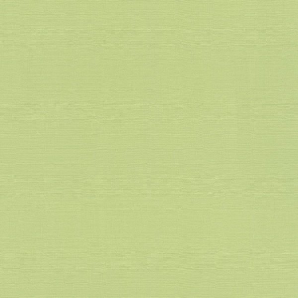 Vliesová tapeta 411829 zelená / Tapety na zeď Hyde Park (0,53 x 10,05 m) Rasch